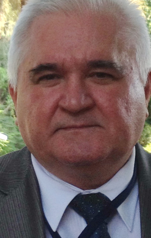 Минаев Олег Алексеевич Волгоград Судья Фото